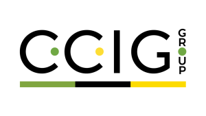 https://ccig.pl/