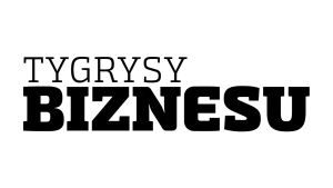 https://tygrysybiznesu.com.pl/